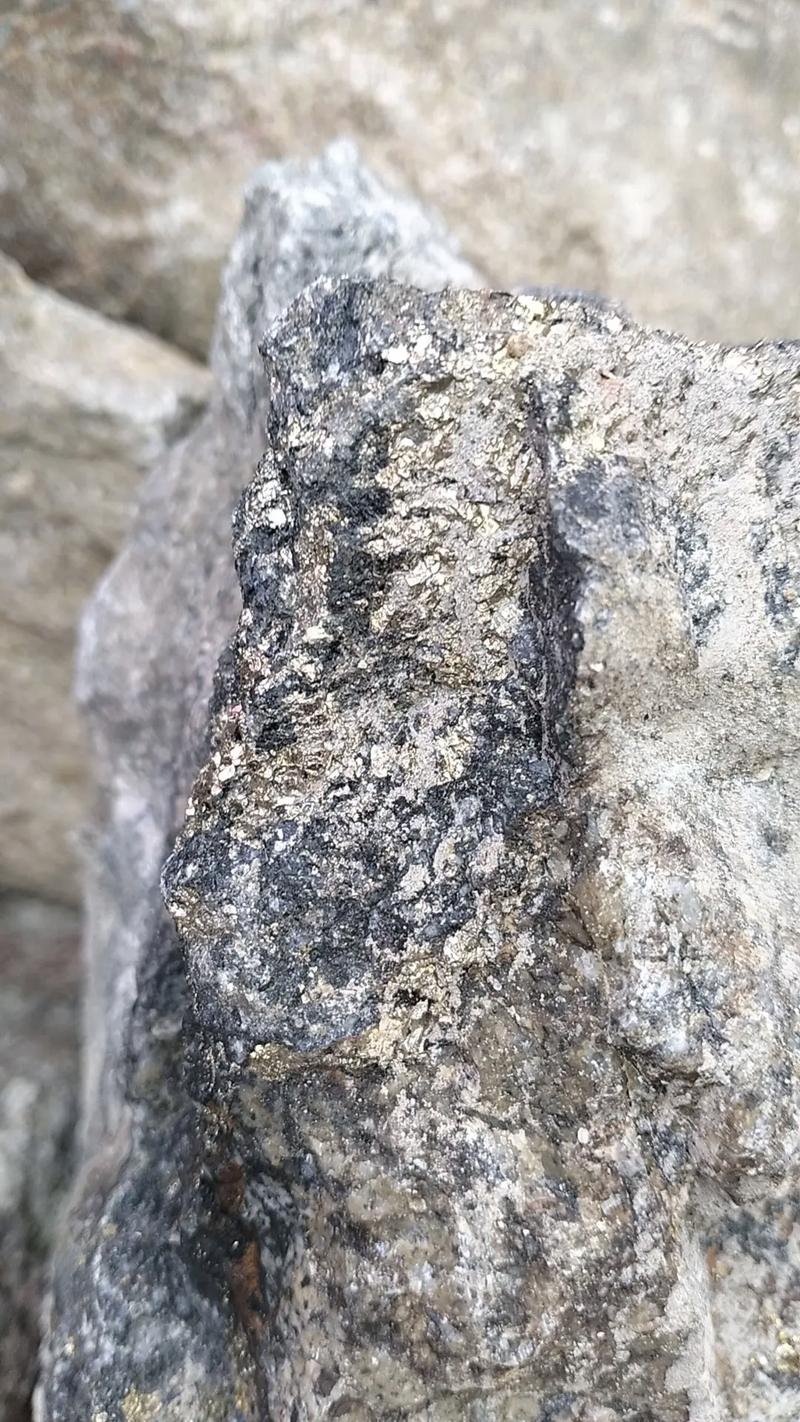 Silver-Mine